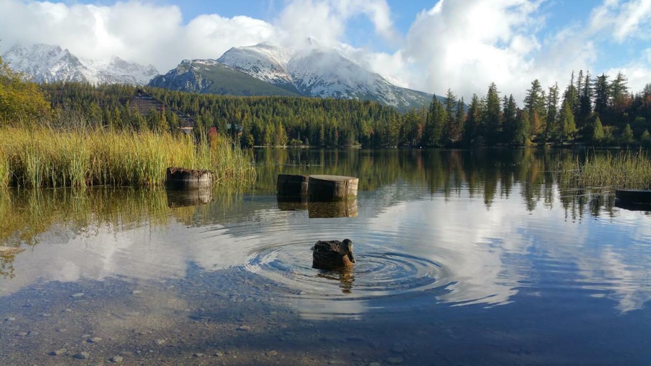 Apartman 401 - Hotel S Apartmanmi Crocus . Štrbské Pleso Exteriér fotografie